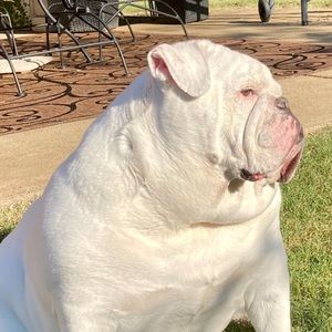 Meet your Posher, Beth